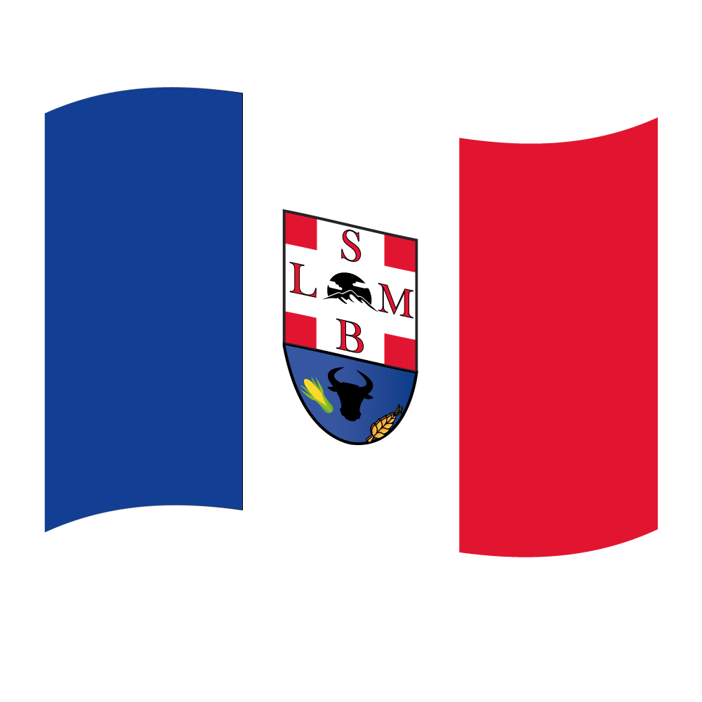 Prefeitura Municipal de São Luís de Montes Belos - GO